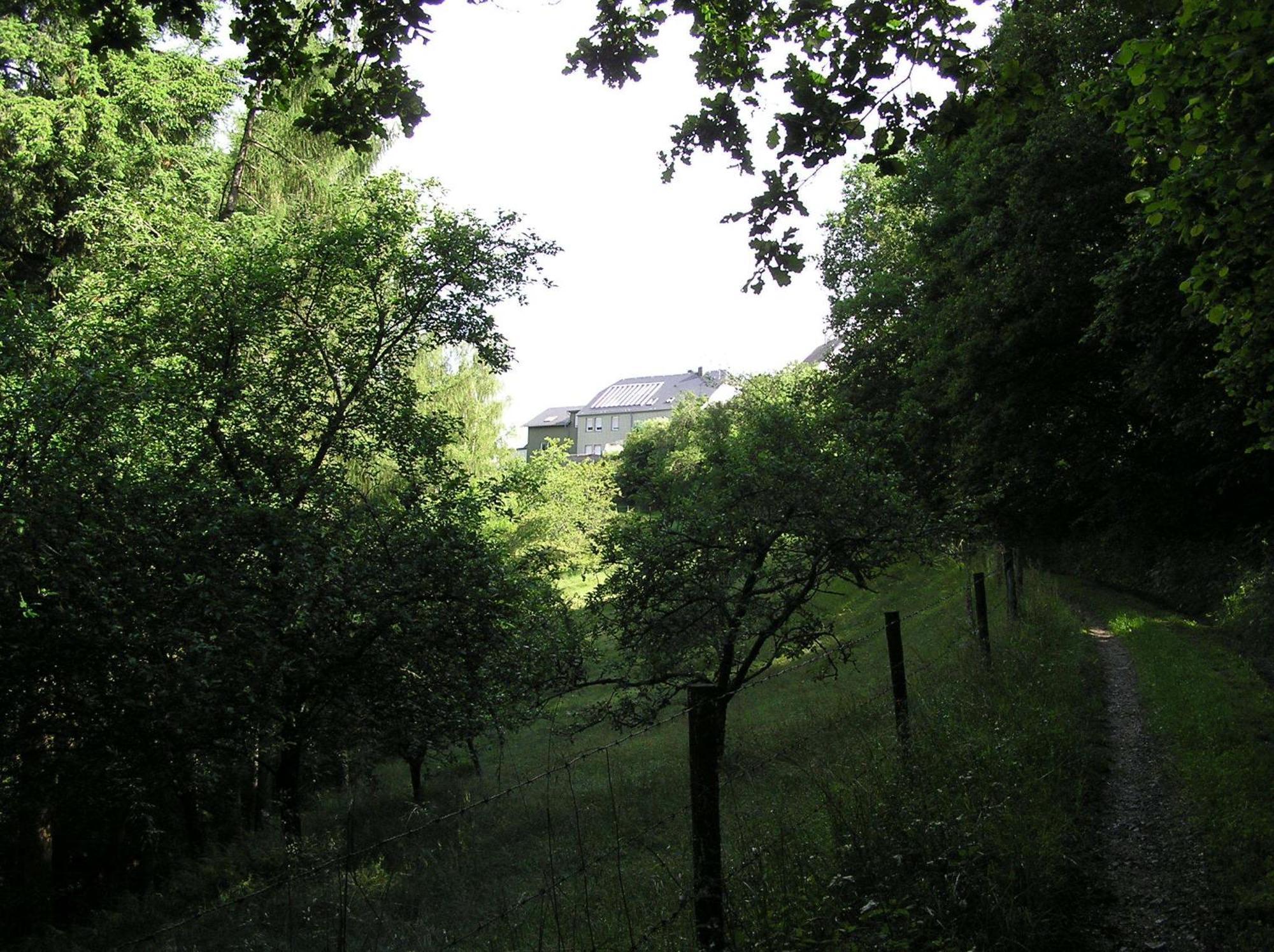 Ferienwohnung Nisius Geisfeld  Exteriér fotografie